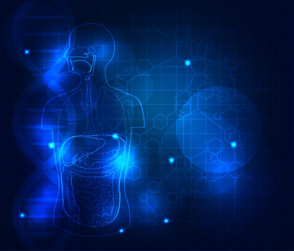 Potential benefits of colostrum in gastrointestinal diseases